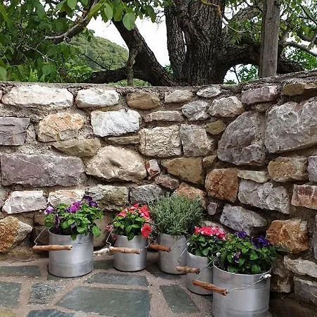 The House In The Cobbled Road