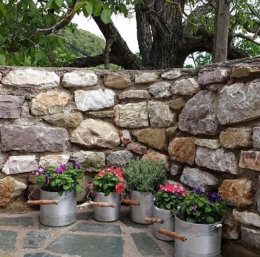 The House In The Cobbled Road